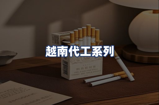 越南代工系列